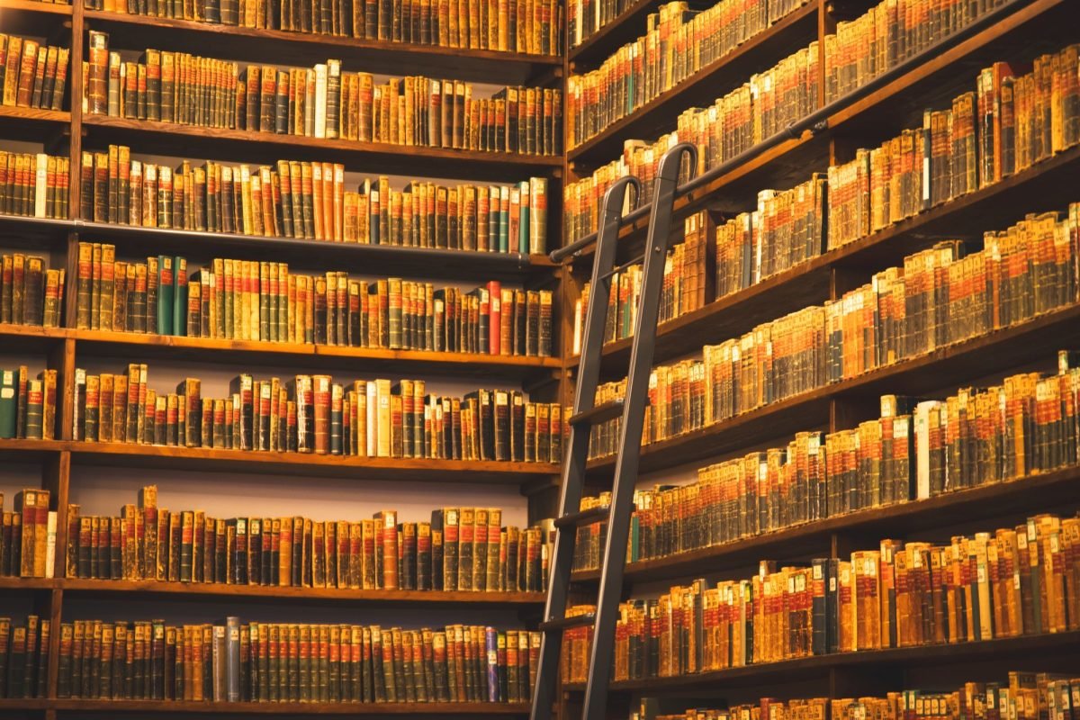 A library corner with tall wooden bookshelves and a ladder